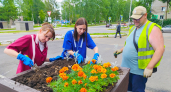 Две тысячи цветов высадили в Кирово-Чепецке