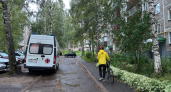 Первый случай лихорадки Западного Нила произошел в Кировской области в 2025 году