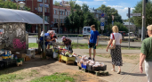 Названы продукты с самым большим изменением цены в Кировской области