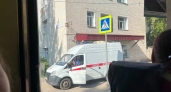 Работница фермы погибла в загоне с животными в Кирово-Чепецком районе