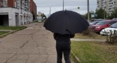 Синоптики рассказали, какой будет погода в Кировской области 15 июля