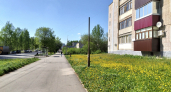 Синоптики назвали даты возвращения жары в Кировскую область