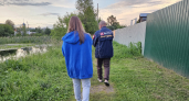 Забор из профлиста - прошлый век: есть более красивый и надежный способ отгородиться от соседей