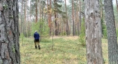 В Советске пять браконьеров остались без денег и техники после стрельбы по лосям