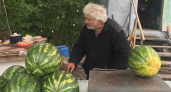 Стучать по арбузу больше не нужно: агроном назвал единственный способ найти самый сладкий плод на прилавке