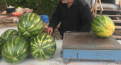Хватит стучать по арбузу: вот признак, который точно говорит - плод сладкий. Запомните раз и навсегда