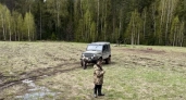 В Кировской области начался сезон охоты на болотную и боровую дичь