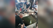 В Орловском районе мужчина утонул на очистных сооружениях
