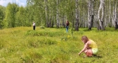 В Ирак из Кировской области уехали 22 тысячи кубометров пиломатериалов