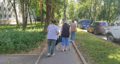 Ивановы и Петровы — не самые древние: вот какие фамилии появились первыми на Руси