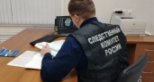 В Кирове пресекли незаконную продажу шпионской техники