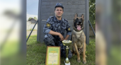 Сотрудник чепецкой колонии и его собака Гром Собака стали лучшими среди кинологов