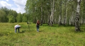 В ОАЭ из Кировской области отгрузили 364 кубометра березовой фанеры