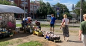 В Кировской области зафиксировали резкое падение цен на целый ряд продуктов