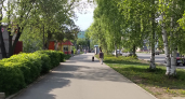 Стало известно, какой будет погода в Кирово-Чепецке 1 сентября