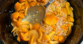 Самый лучший гриб России - не боровичок и не рыжик: ароматный, вкусный и собирать легко 