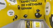 Нашли в «Чижике» сыр за копейки, канцелярию для школы от 39 руб. и вкуснейший бекон: новый привоз по смешным ценам