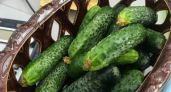Мариную огурцы "по-царски" — хрустят, аж зубы сводит: плотные, с кислинкой, ароматные