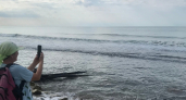 Поселок на море с красивейшей природой и дешевыми домами: но все отсюда бегут - и вот почему