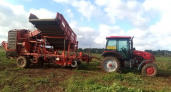 В Кирово-Чепецком районе пенсионерка попала под трактор "Беларус"