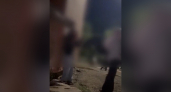 В СК России начали проверку по факту избиения школьницы в Вятских Полянах