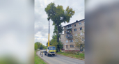 В Кирово-Чепецке на перекрытой улице сносят шесть тополей и два клена