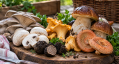 Не варите, не жарьте: 6 видов грибов, которые вкуснее в сыром виде — полный список