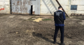 Полмиллиона рублей присудили тяжело покалечившемуся на ферме студенту из Немы