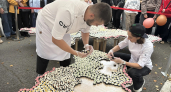 В Кирове шеф-повара создали гигантскую карту из роллов