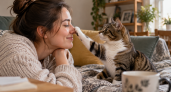 Кошка тянется к вашему лицу не просто так: что она пытается узнать — рассказываю