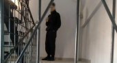Жестоко убивший 24-летнюю возлюбленную кировчанин получил 8,5 года колонии