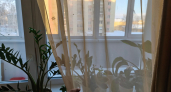 Тюль в 2026 году — старье и деревня: дизайнеры заменяют классику на окнах совсем другим материалом