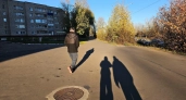 Названа дата первых заморозков в Кировской области