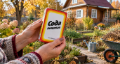 Осенью сода у меня уходит пачками: 5 дачных дел, которые она закрывает за копейки - соседи тоже взяли на заметку