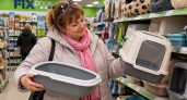 Скупаю в Fix Price кошачьи лотки, но животных не держу: нашла им 5 гениальных применений — на кухне, в прихожей и даже в авто