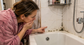 3 копеечных средства, которые выжгут черную плесень с плитки за раз — работают лучше химозы