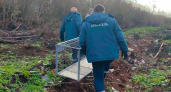 В Кирово-Чепецке отловили опасную лесную хищницу