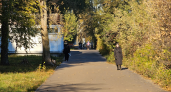Теплая летняя погода задержится в Кировской области еще на один день