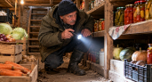 Не запахи и не ультразвук: вот как защитить погреб от мышей — грызуны и носа не покажут около урожая 