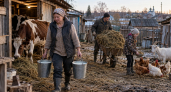 Своё молоко и деньги от продаж: почему жизнь с большим хозяйством требует работы без выходных