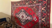 Ковёр пылился, словно музейный экспонат: бабушкин способ из СССР вернул ему свежесть без капли воды