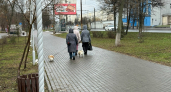 Холодно и пасмурно: какой будет погода в Кирово-Чепецке 24 октября