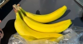 Банан съела, кожуру везу на дачу: 5 осенних хитростей, за которые растения скажут спасибо