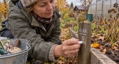 До первых морозов рисую мелом на участке: весной не трачу часы на поиски проблемных мест