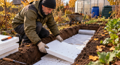 Пенопласт от бытовой техники не выбрасываю: режу на листы и прячу под грядку — корни как в теплом пуховике
