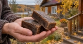 С первыми морозами беру 2 куска дегтярного мыла и не мучаюсь, как горожане: совет деда из деревни – на даче тихо до весны