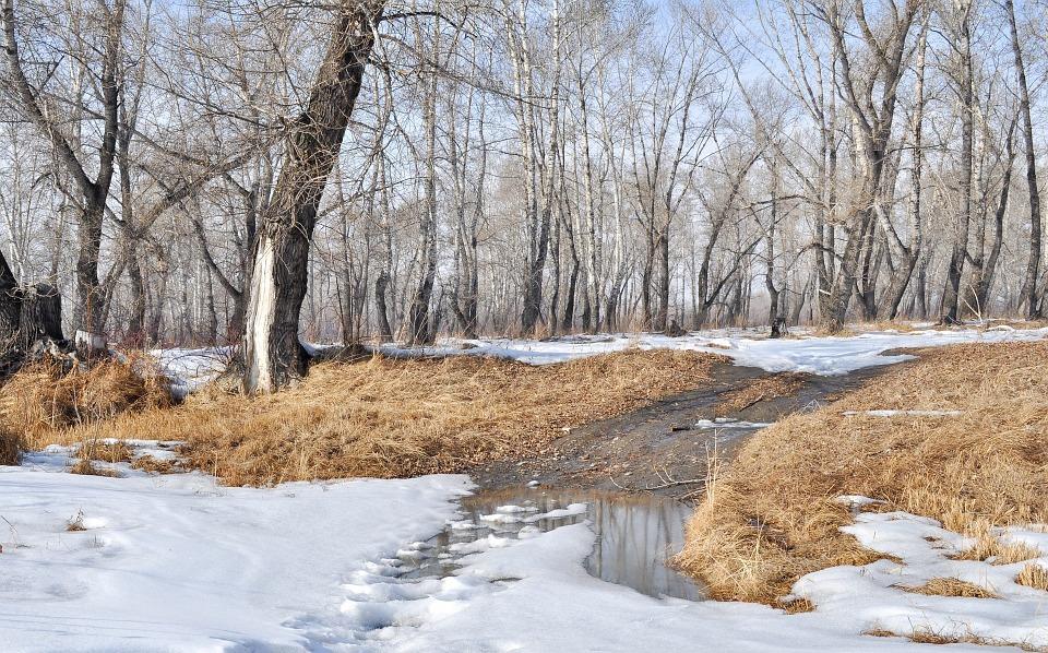 Прогноз погоды: какими будут выходные в Кирово-Чепецке?