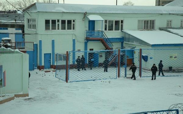 Чепчан напугали звуки выстрелов, доносившиеся с территории колонии