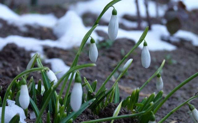 Стало известно, когда в Чепецк вернется по-весеннему теплая погода