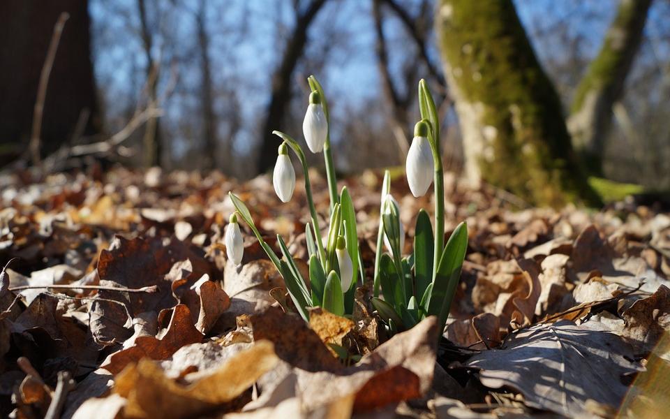 Прогноз погоды на месяц: каким будет апрель в Кирово-Чепецке?